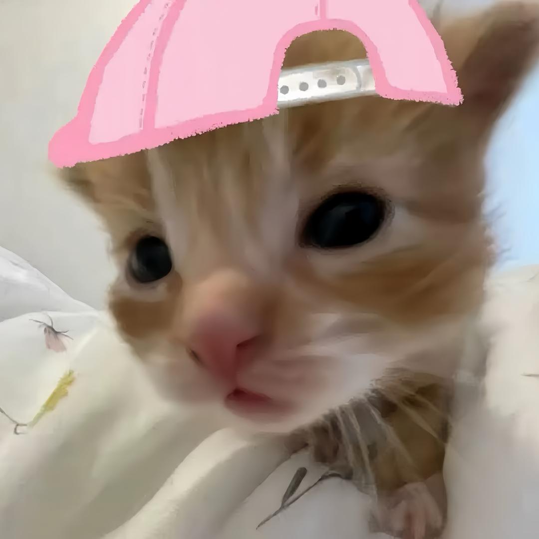 闹什么
