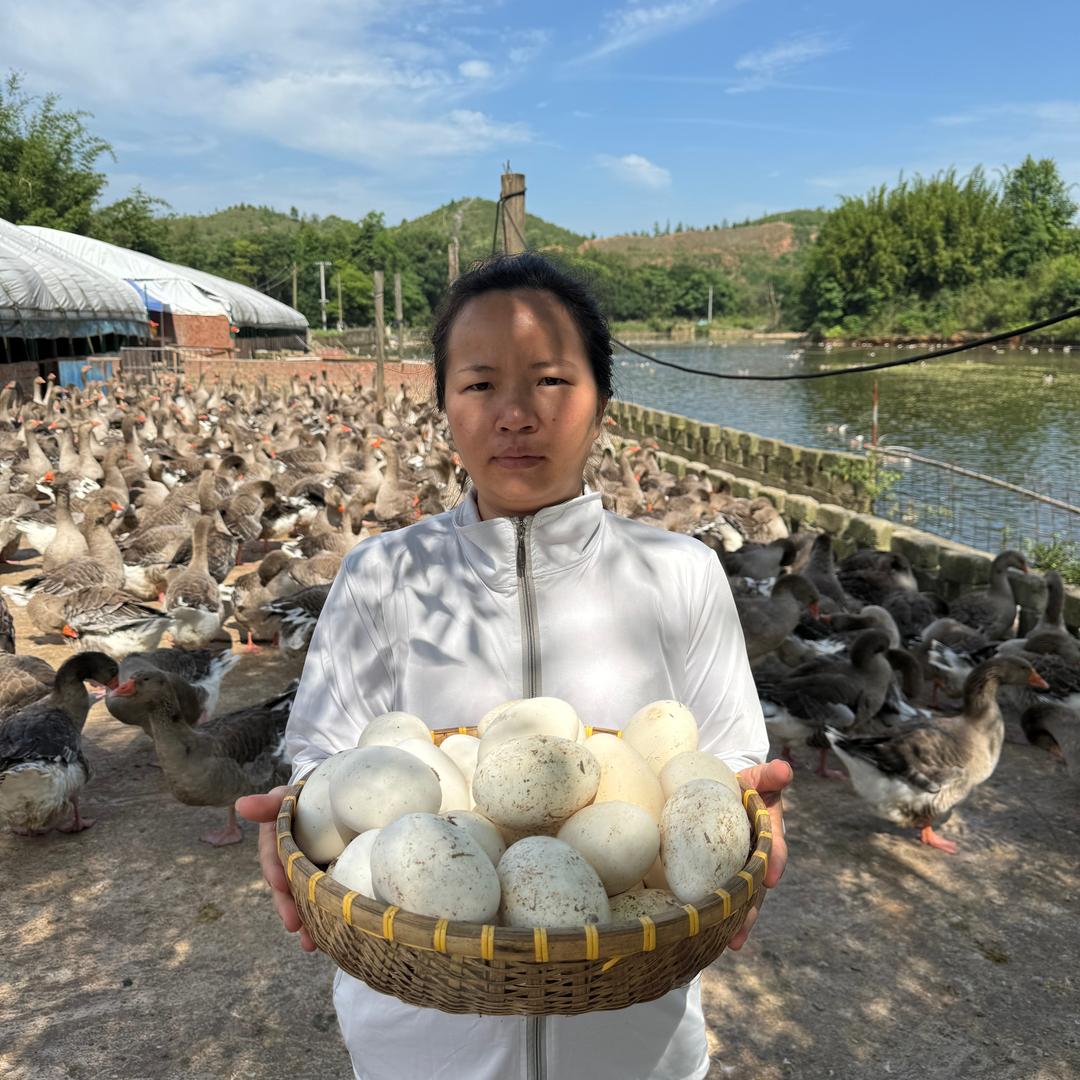 念念三农