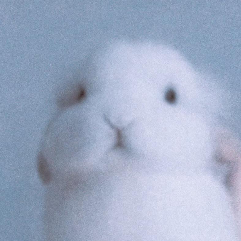 十元尼美