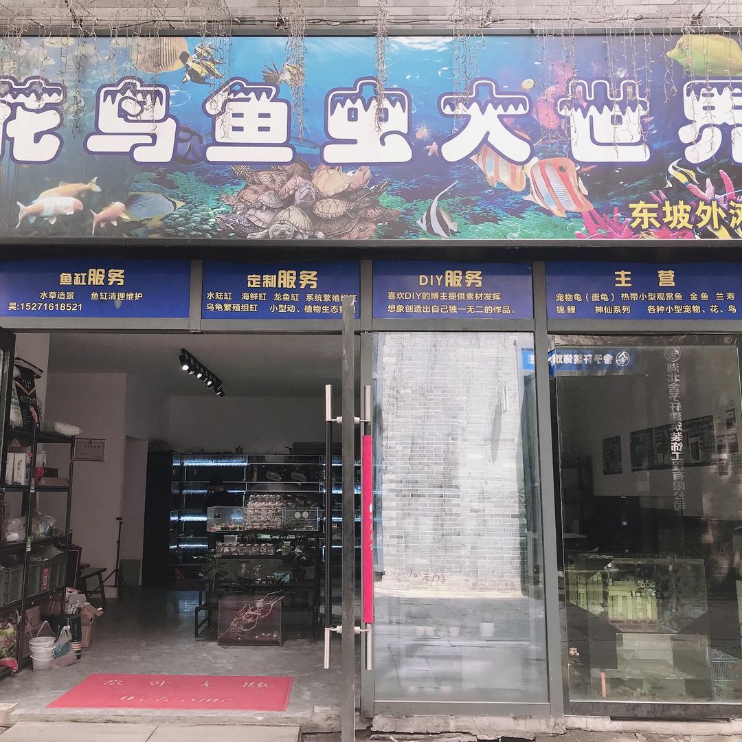 花鸟鱼虫大世界