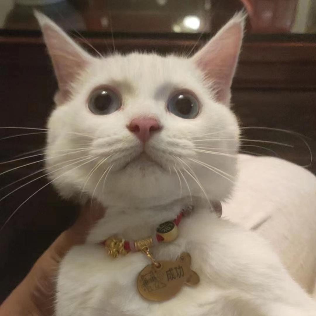 如是
