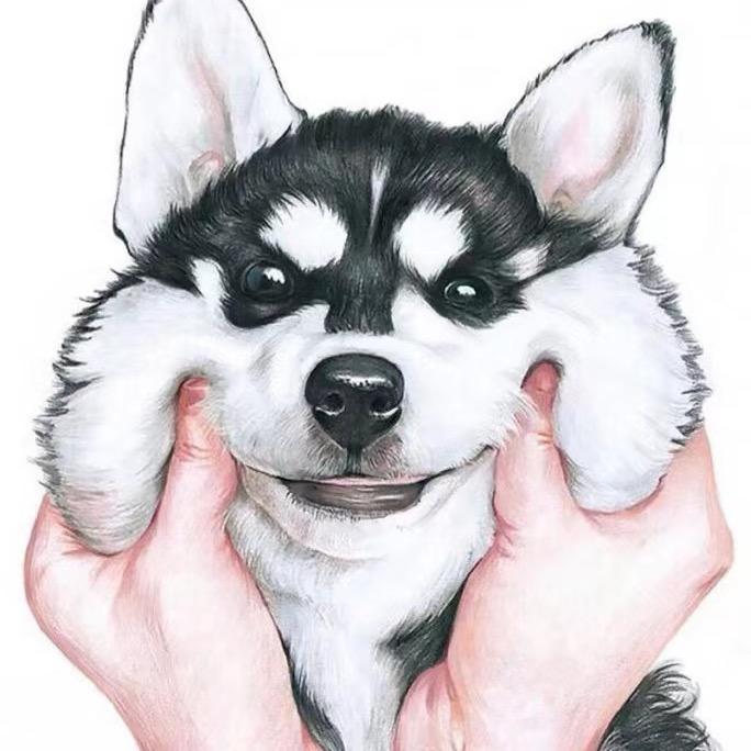 二哈
