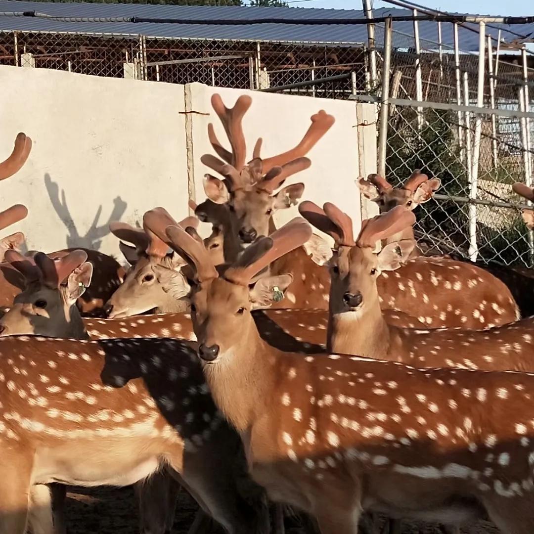 玲的喻蓝百货生活坊