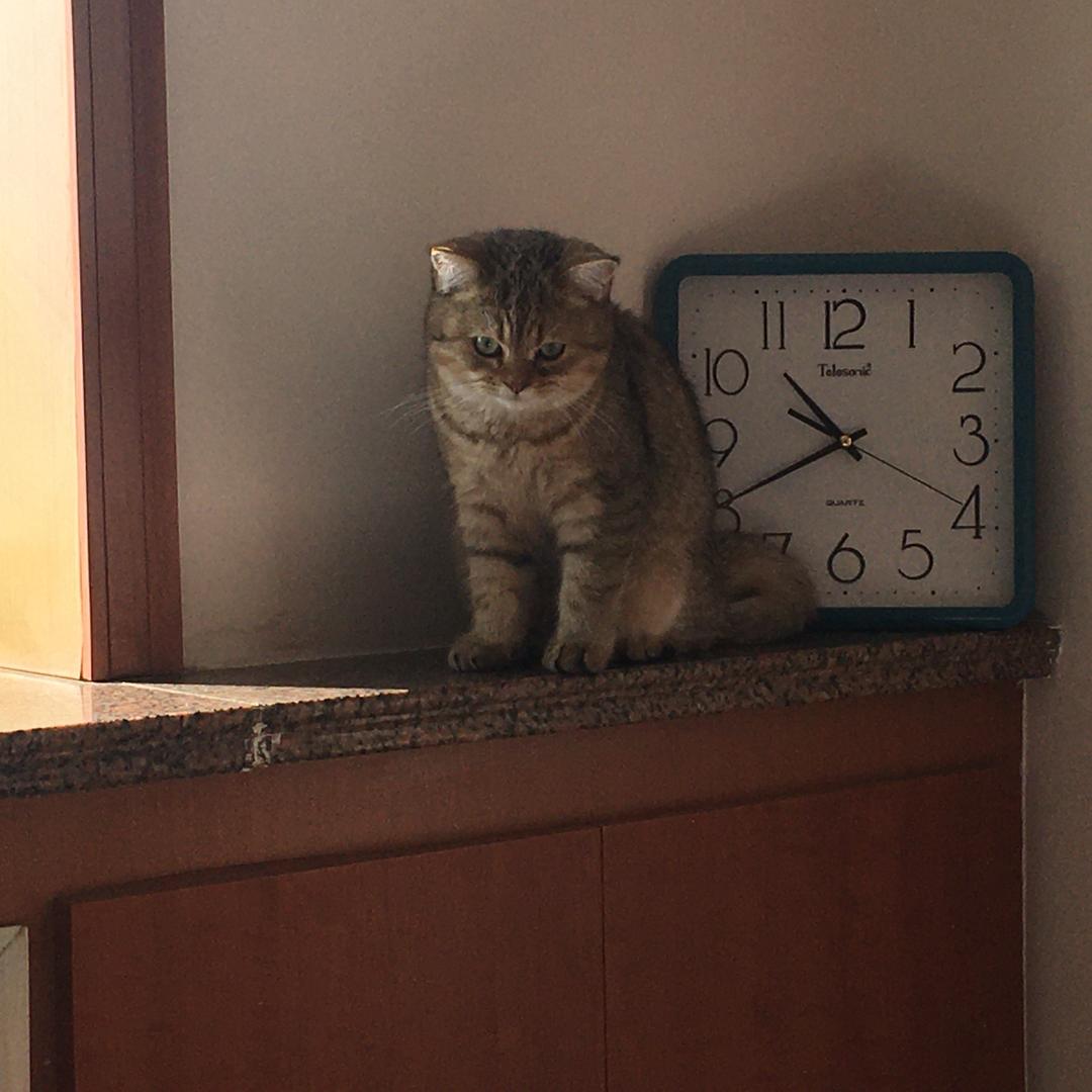 钟山