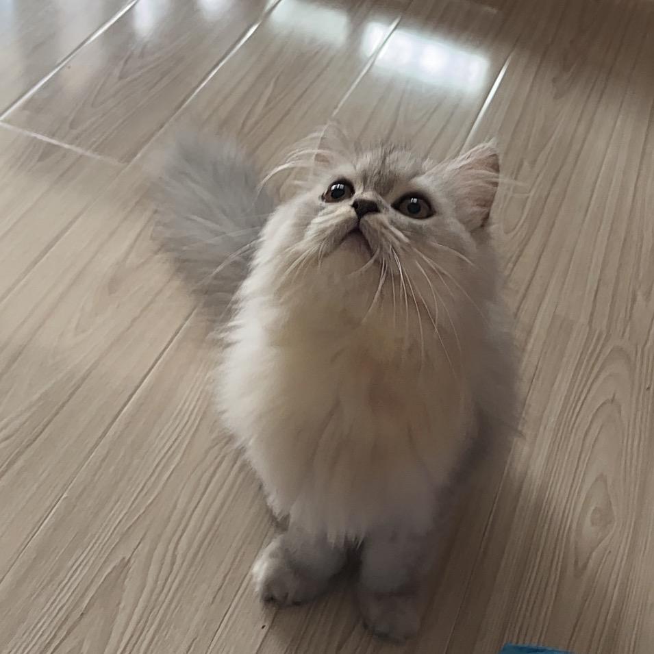 立冬不是立冬