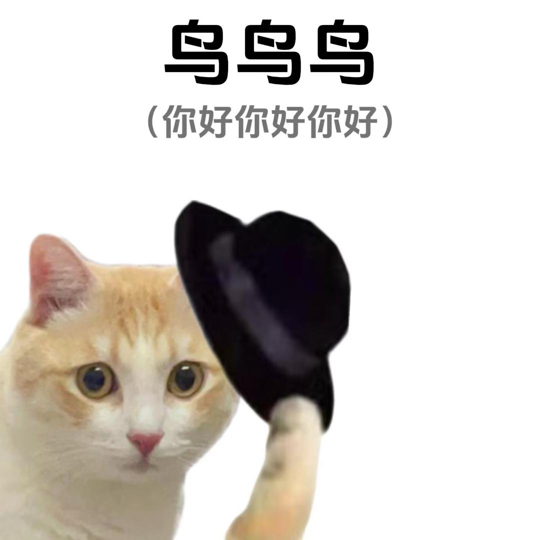 问东问西