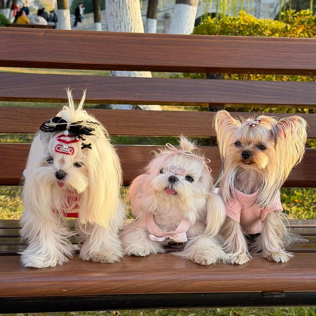 清冷忧郁的美女