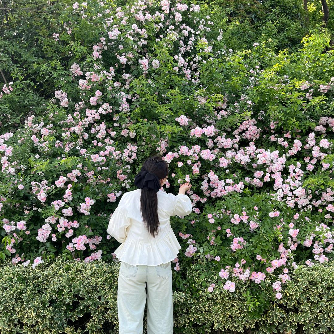 Carly陈