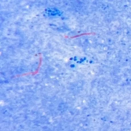 🌈一万遍水星记