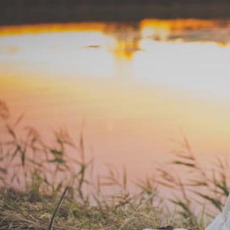 杨💦夕汘💦🐯🐶