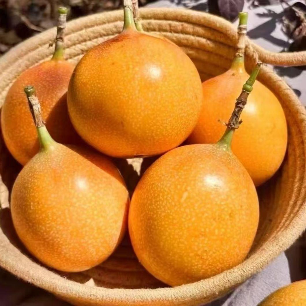 臻优鲜农产品