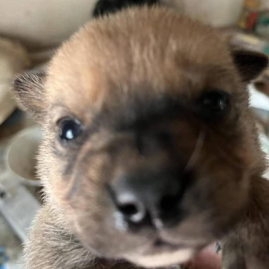 小穆的快乐日记