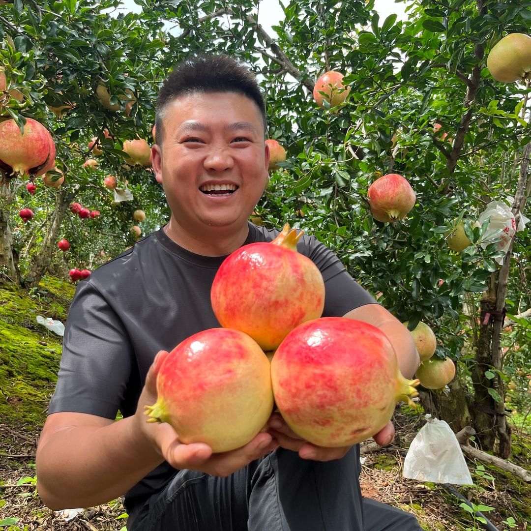 大为水果