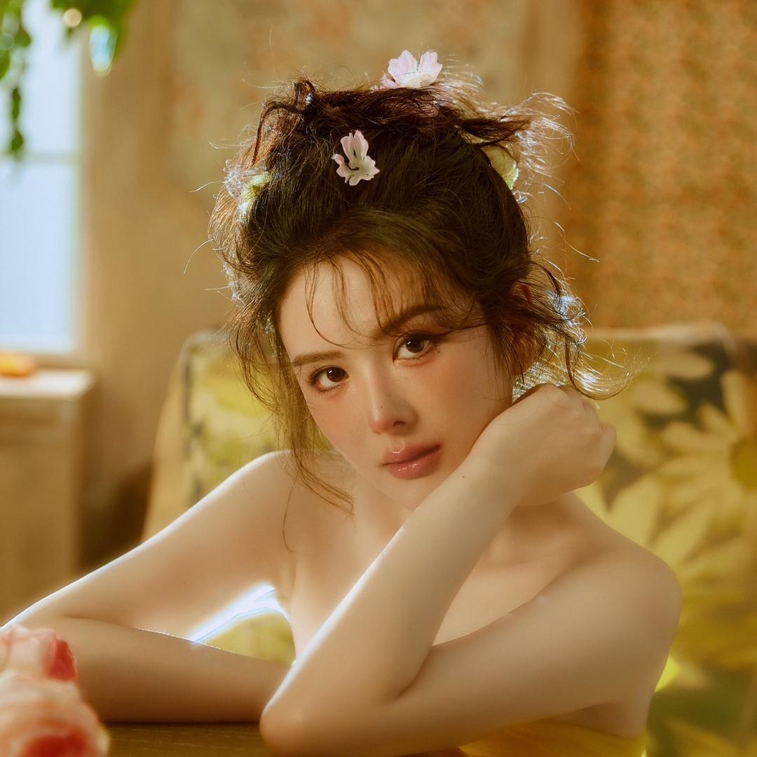 🌸紫霞仙子🌸