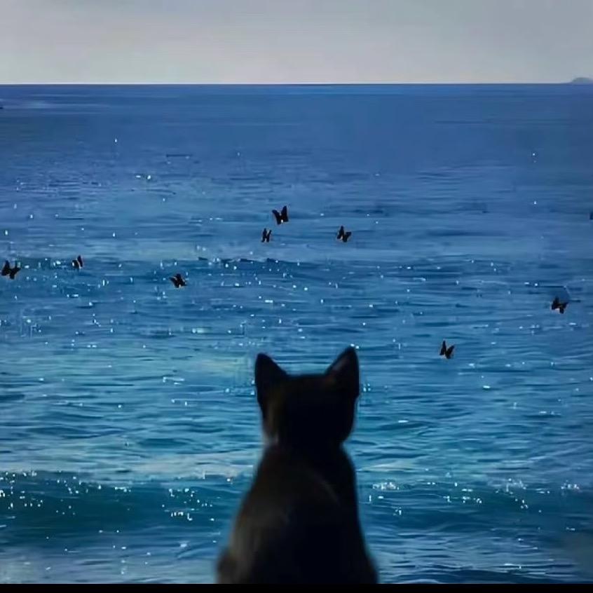 小猫电台🐱
