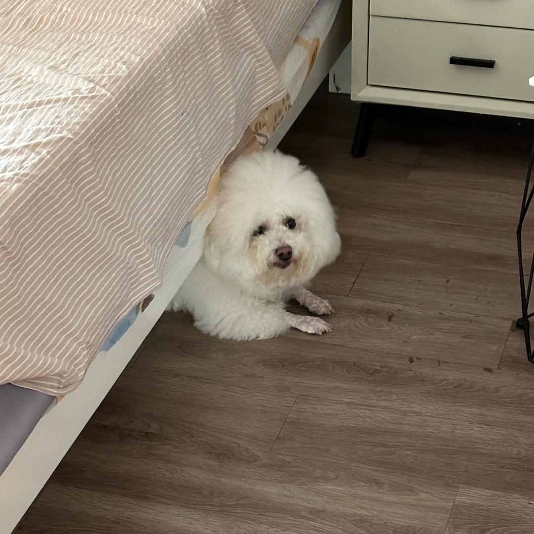 KkTO