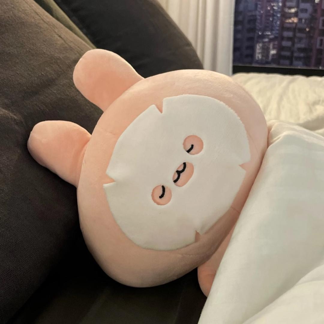 来到火山口的幸运鱼蛋