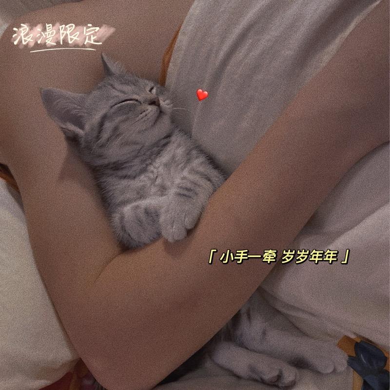 炫屎💩官