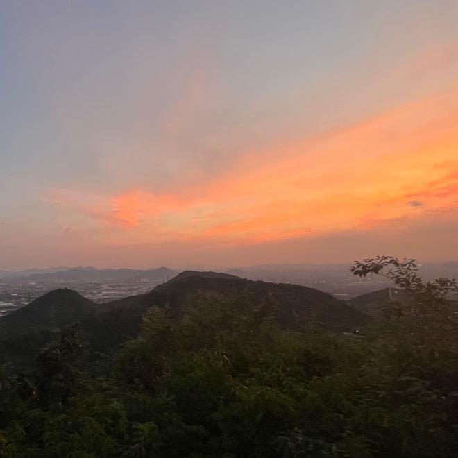 小乐乐固始鹅块