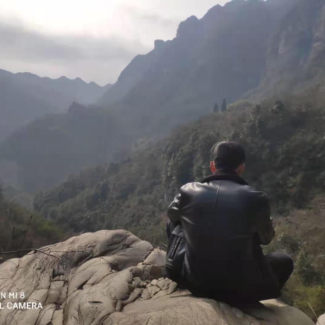 两只大象🐘🐘