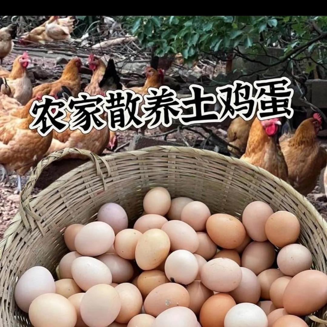 卖土鸡蛋的张姐