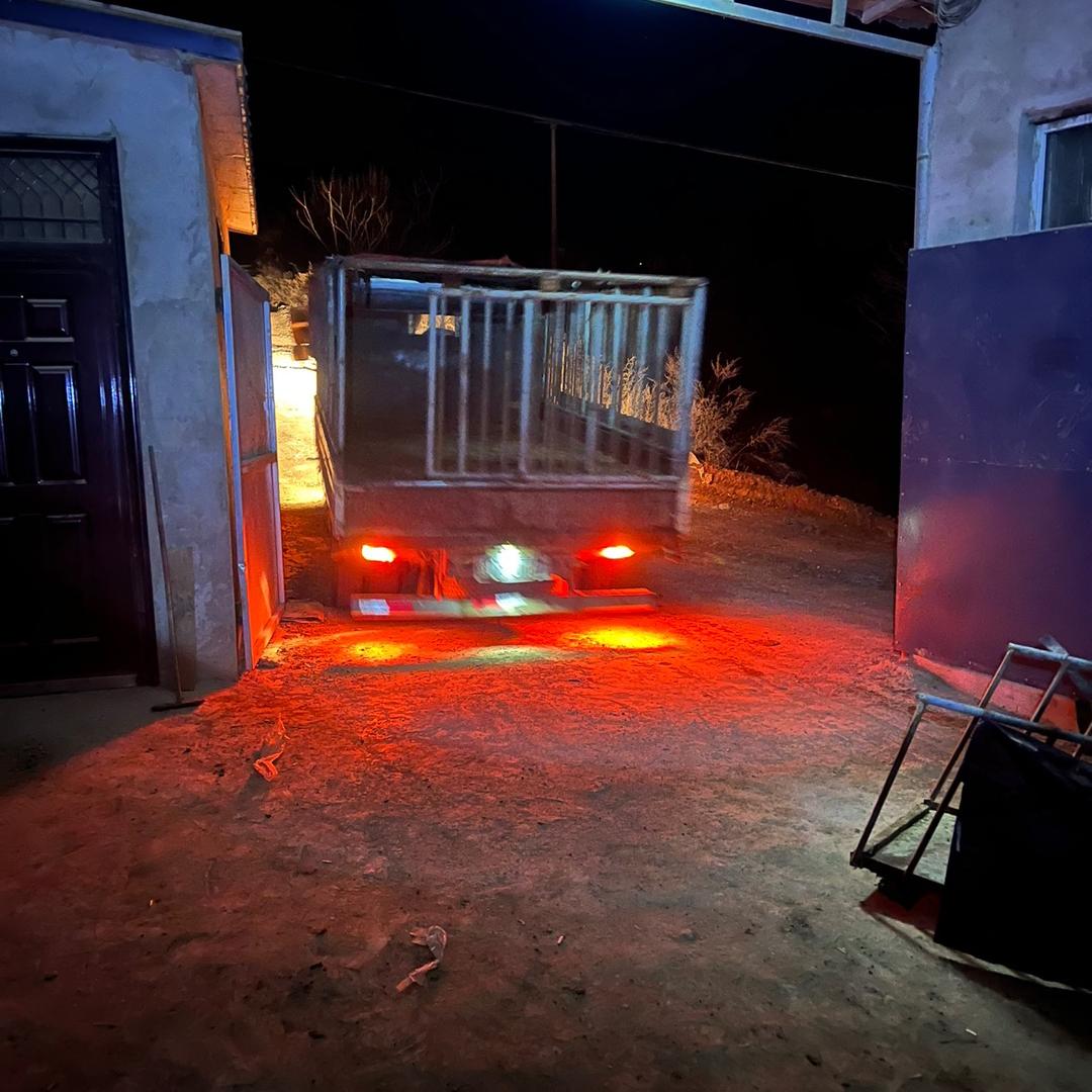 山西刘伟生猪购销