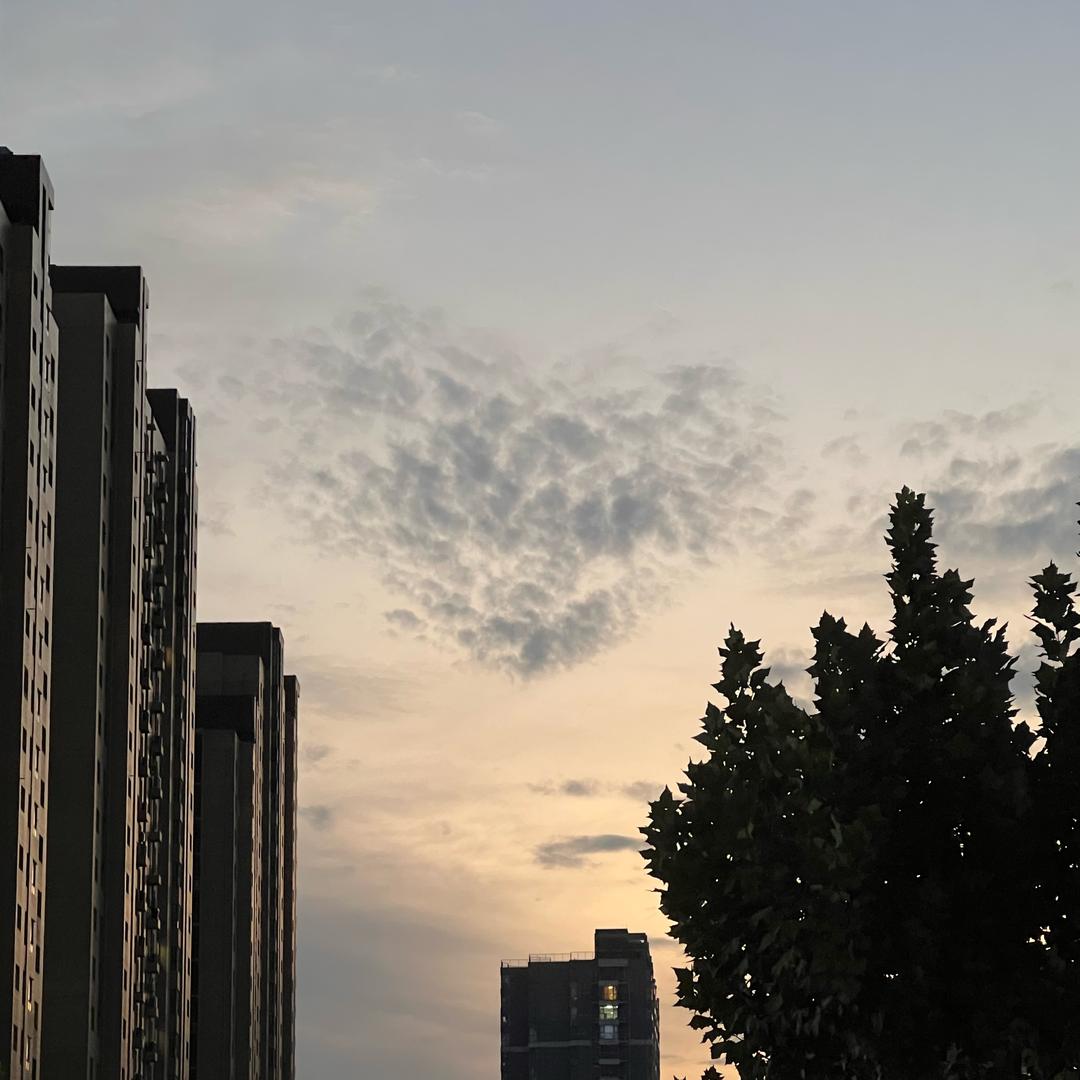 当时只道是寻常