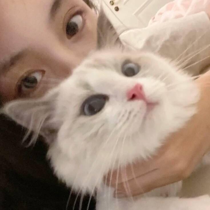 他妈的王八别赞我啊