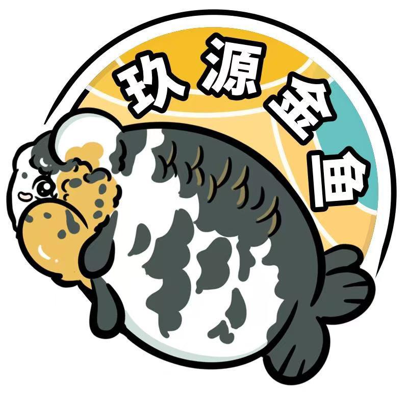 玖源兰寿观赏鱼