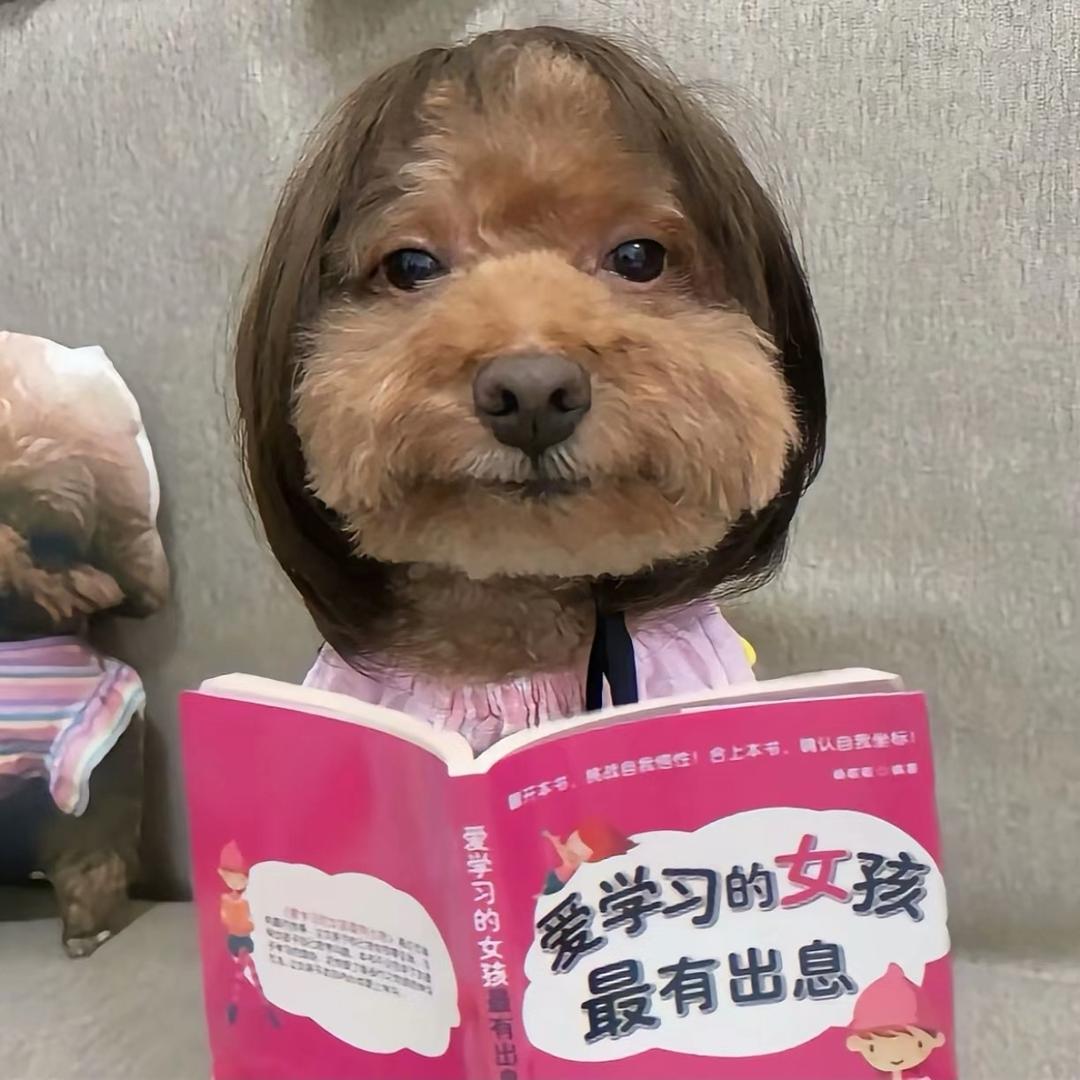 小柴火