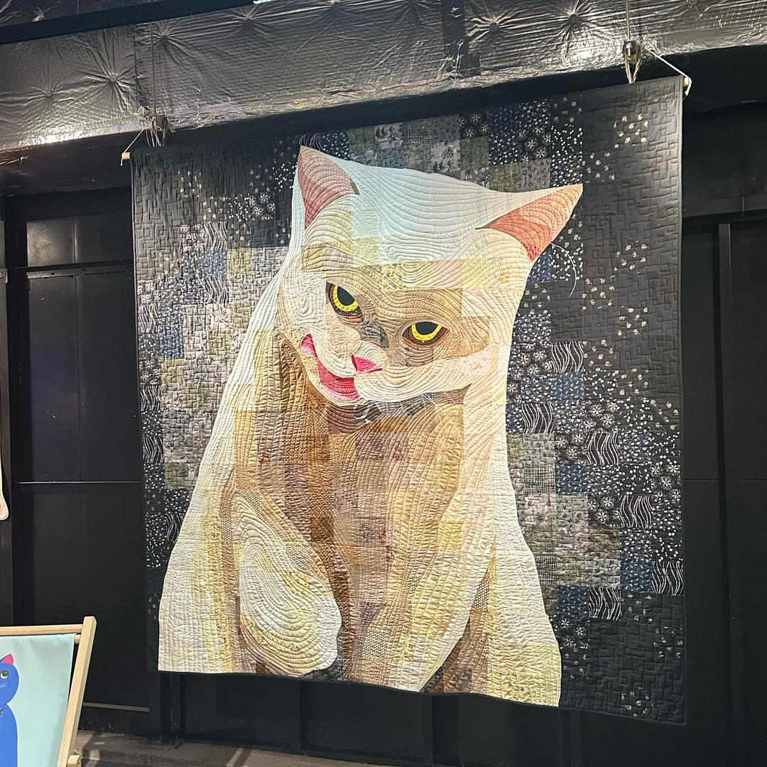 乔小兔塞尔凯克猫舍厨房🥩