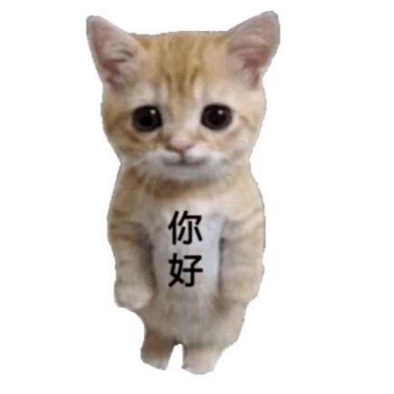在曠野