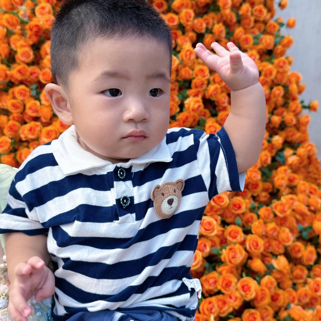 浩子哥的朋友圈
