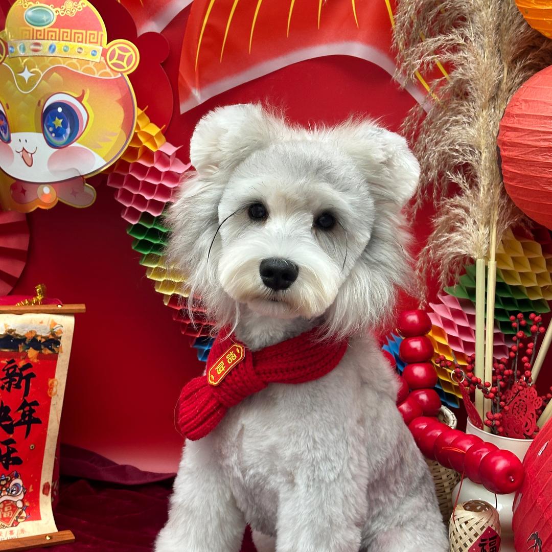 小臭墩墩