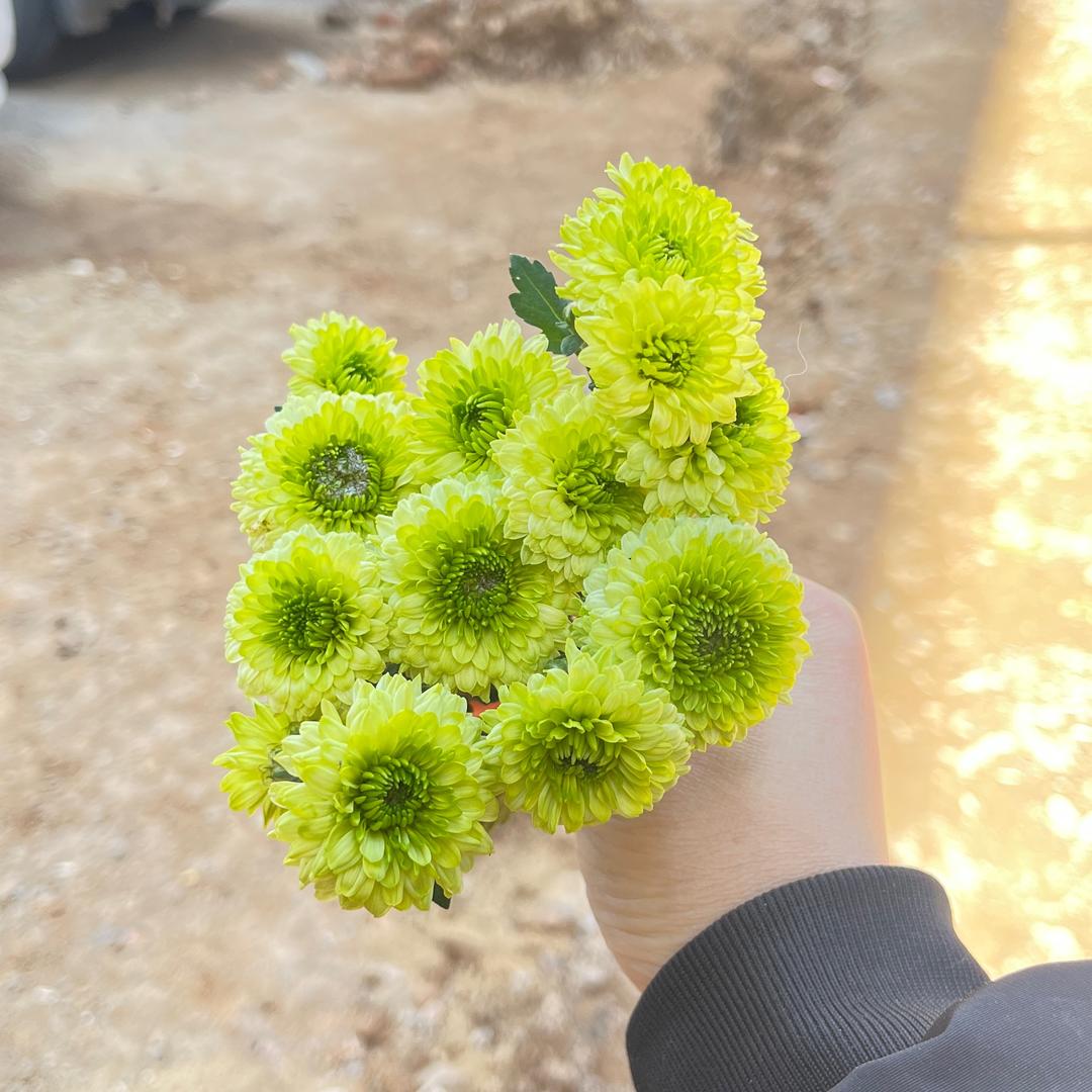幸运🍀女孩