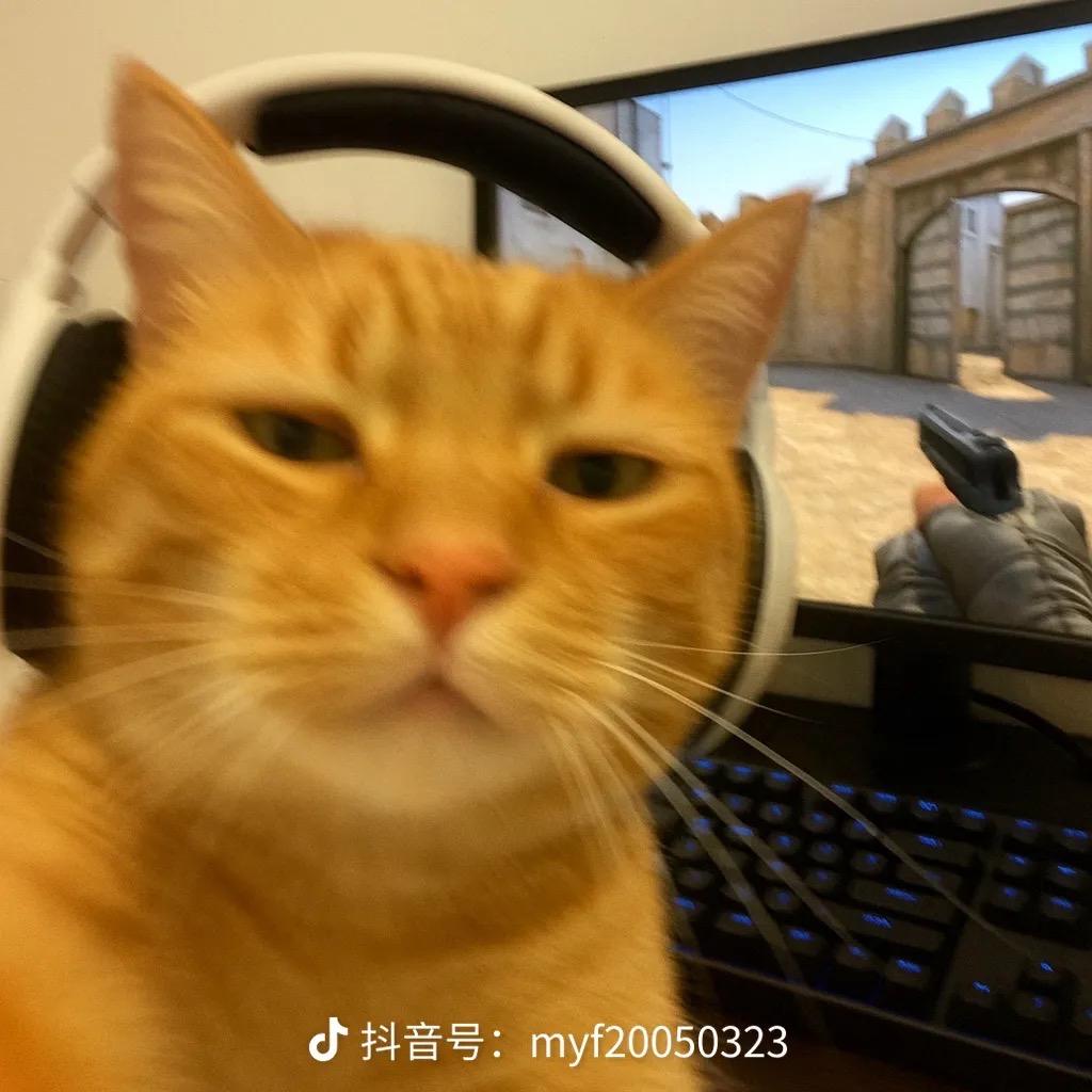 Csgo天才少妇