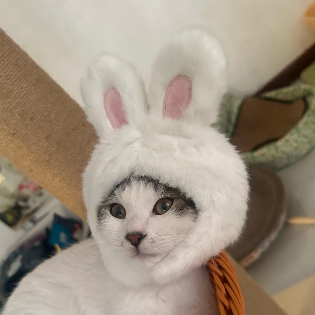 大屁股也有烦恼