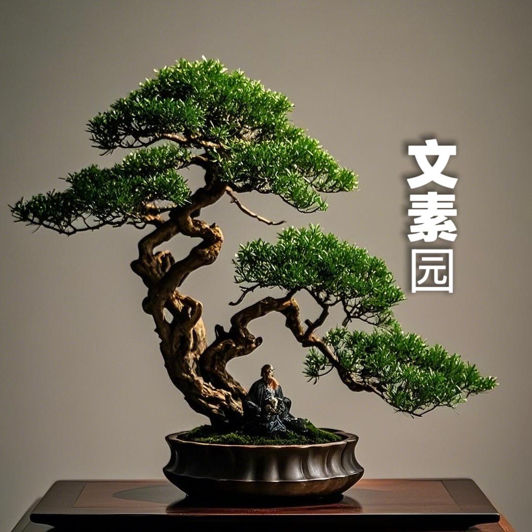 文素园微盆景