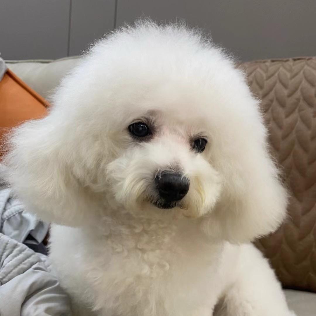 孽畜比比酱❤️