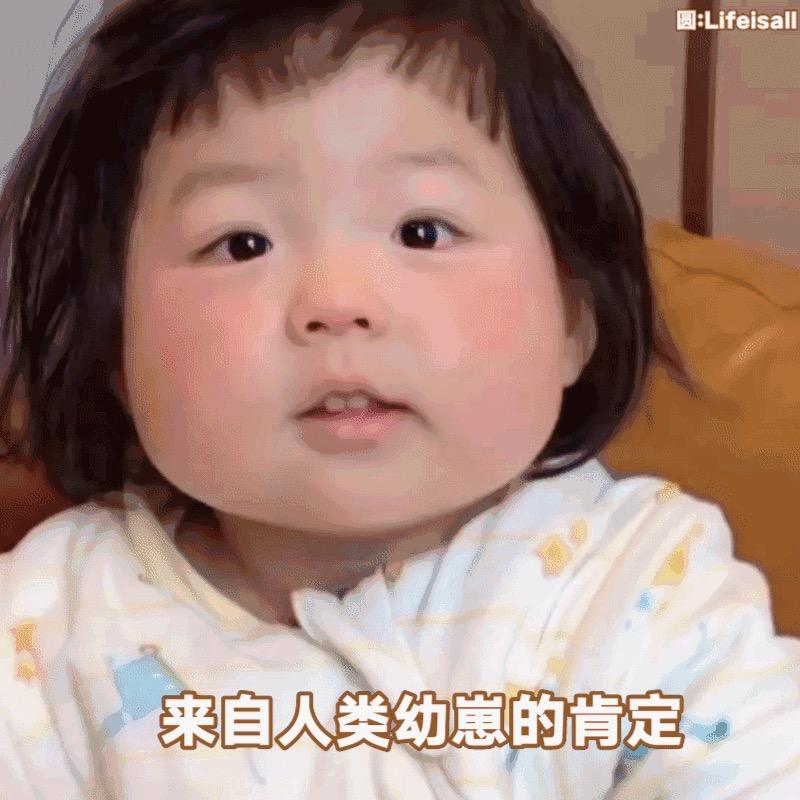 chen的小海豹（精神良好版）