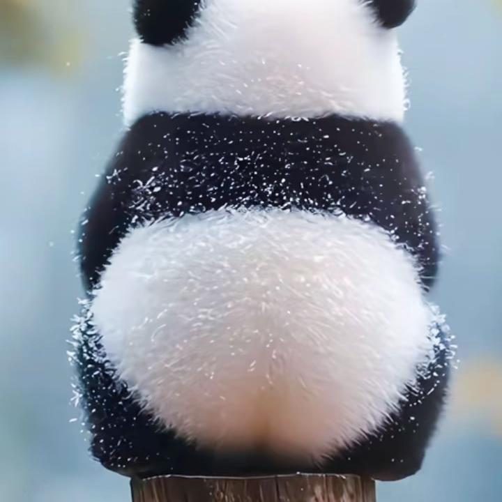 隆安林大锤家具馆【花花】