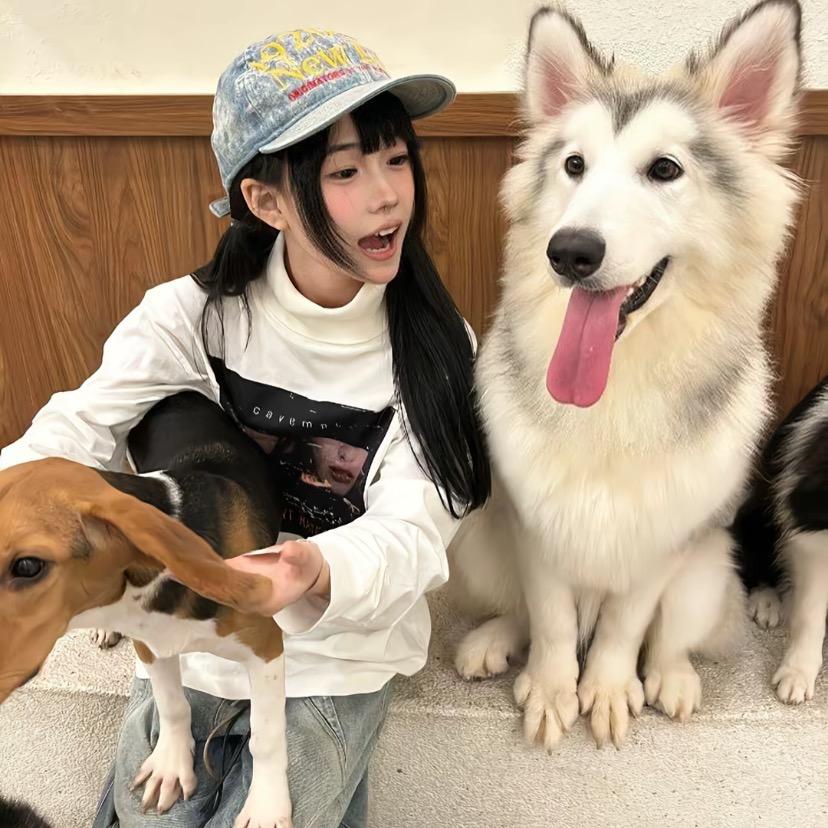 铭檀小龙
