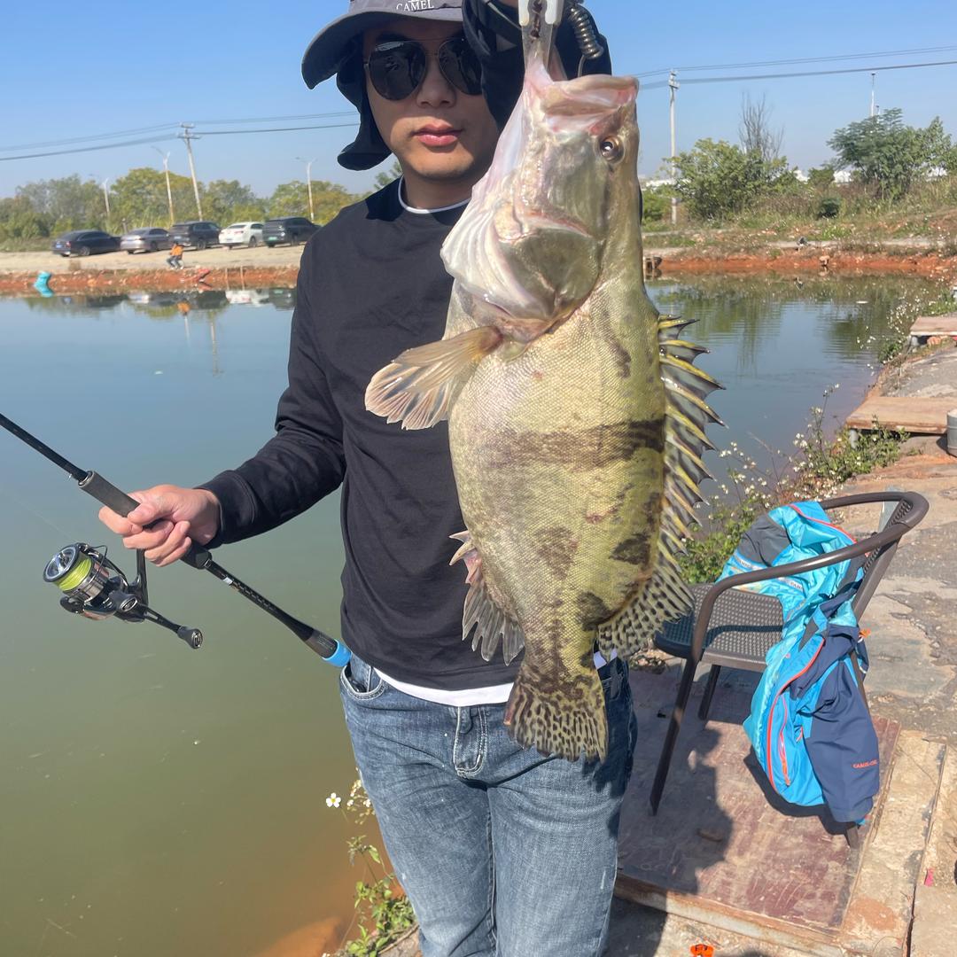 老申带你去钓鱼