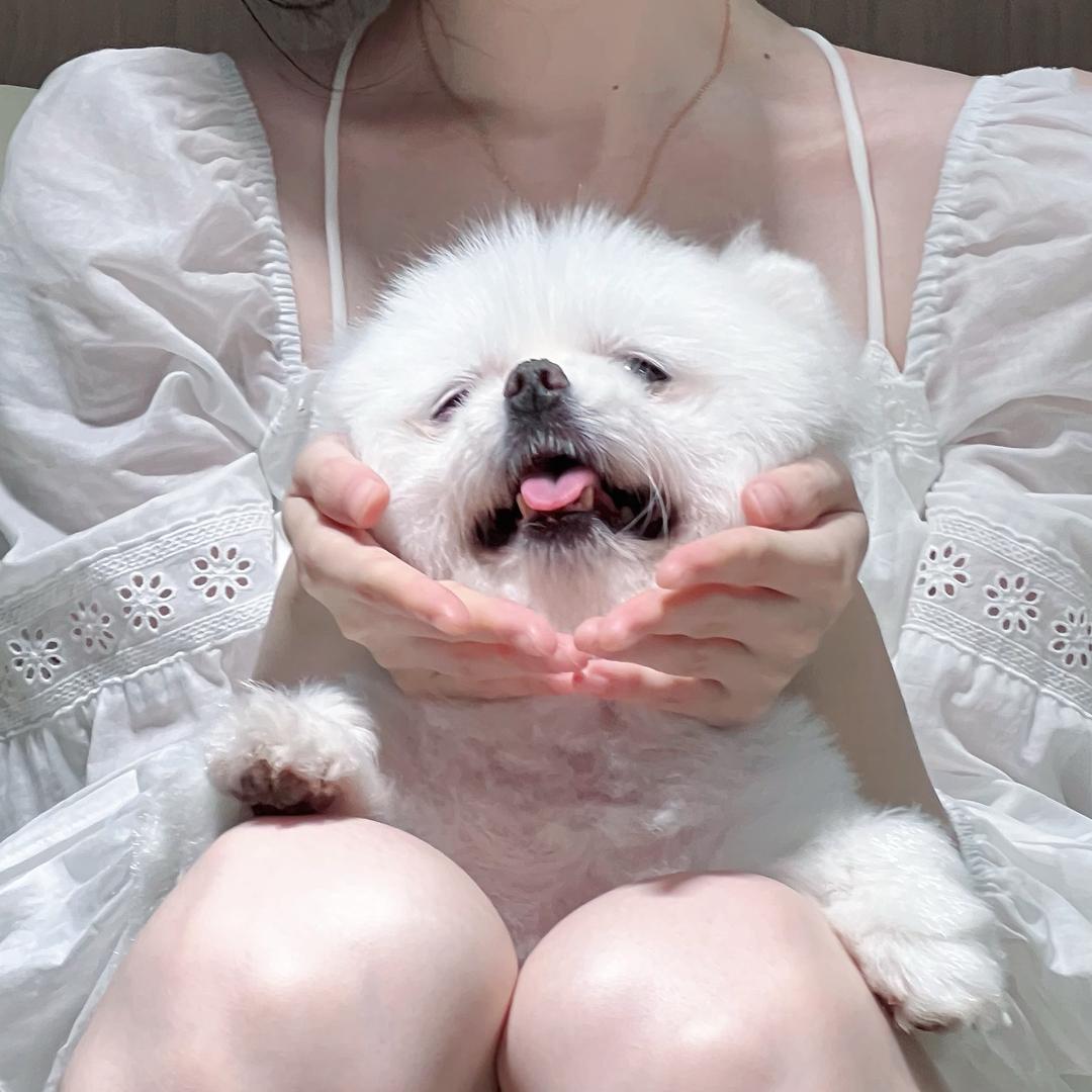 佳倪💗