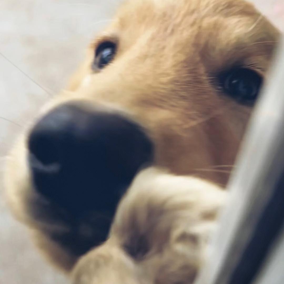 溯