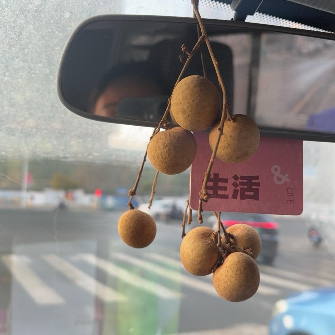 一路芳华