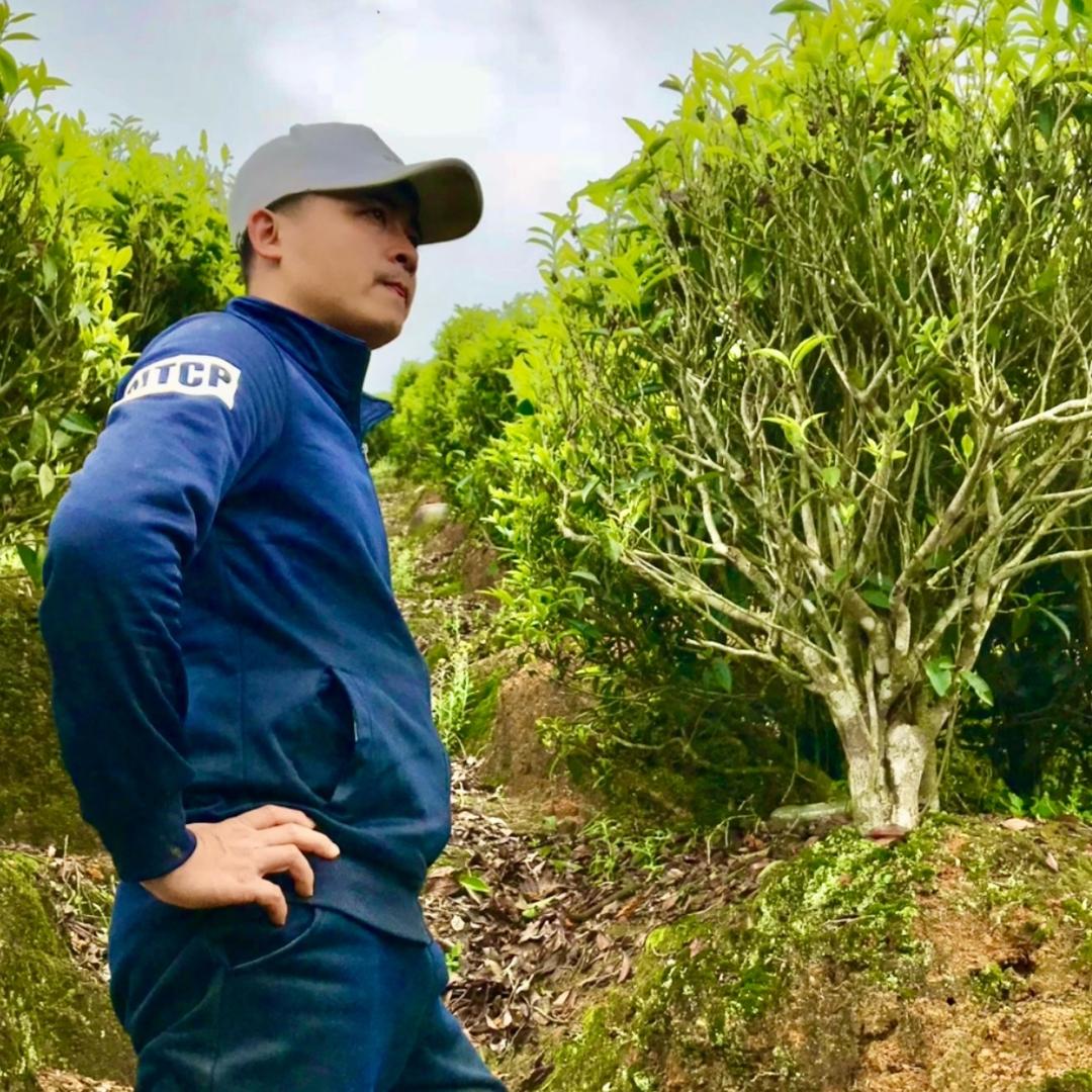 茶山表哥