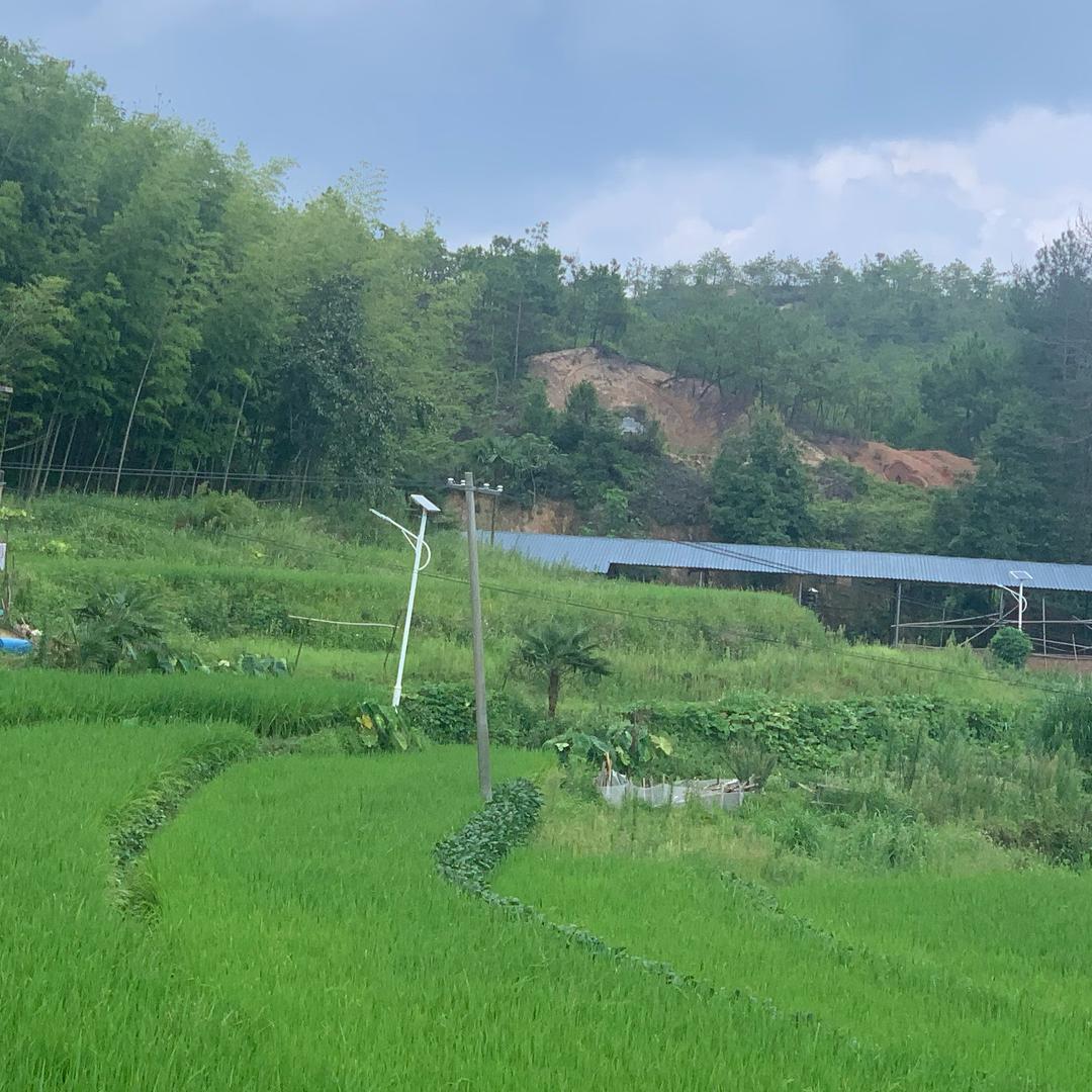 橘橙橙