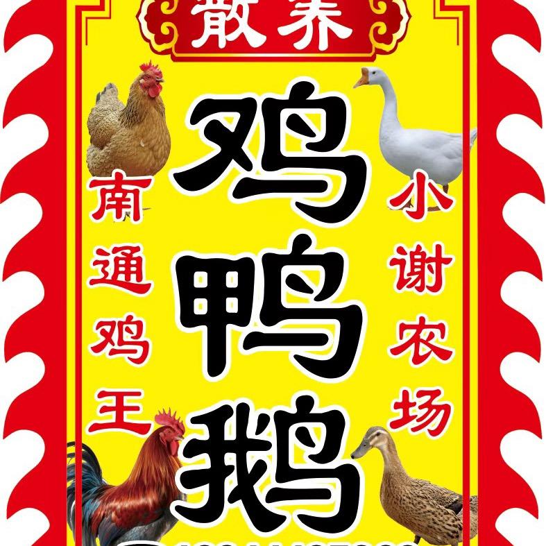 南通鸡王小谢家禽农厂