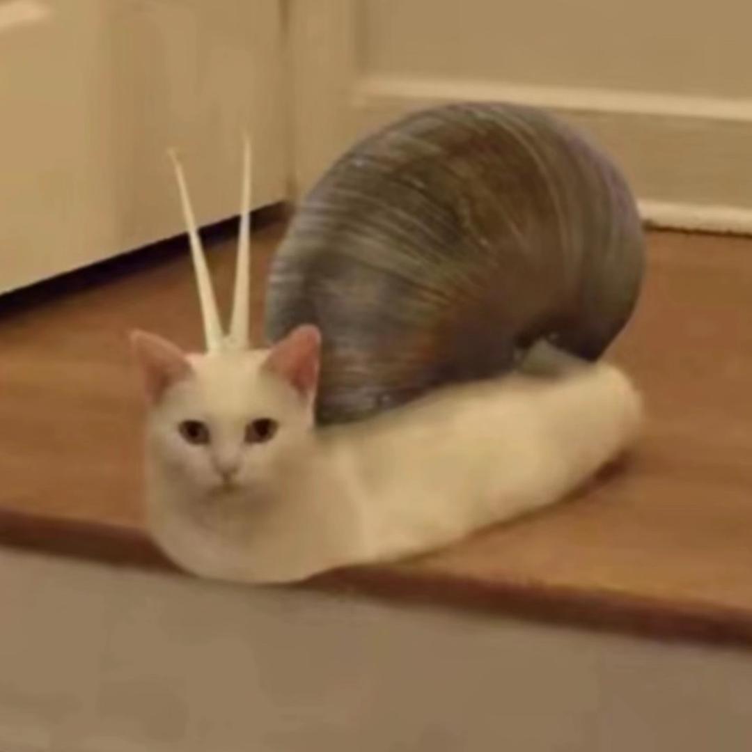悲悲